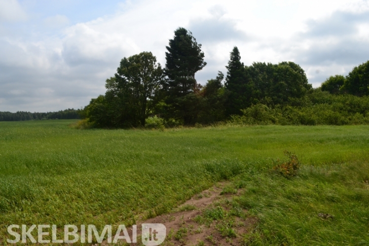 Sodybos, Sodai: Parduodamas Sodyba Klaipėdos Raj, Vanagų Km. I ...